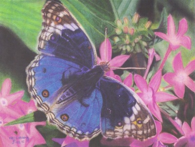 click to enlarge