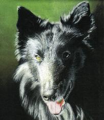 Check out the Pastel Portraits!